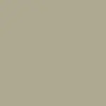 Sage Grey